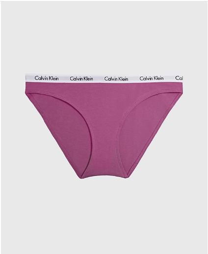 شورت زنانه کلوین کلین آمریکا Calvin Klein Slips Carousel Amethyst 0000D1618EVAE